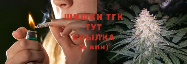 СК Зеленодольск