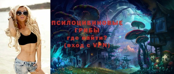 СК Зеленодольск