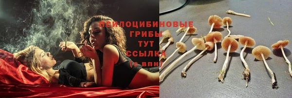 СК Зеленодольск