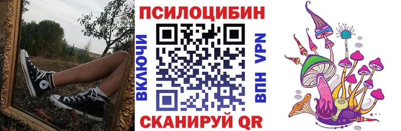 Галлюциногенные грибы MAGIC MUSHROOMS  Кадников 